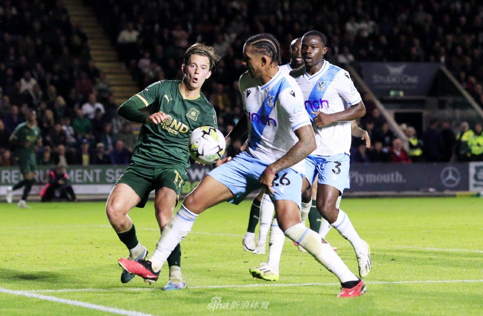 已自然嵌入 已自然嵌入