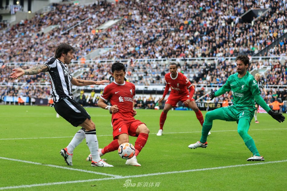 最适宜的环 最适宜的环